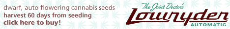 lowryder seeds